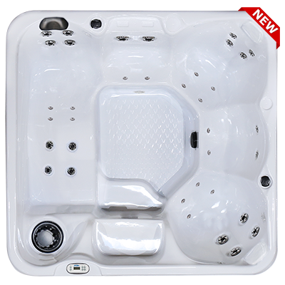 Hawaiian PZ-636L hot tubs for sale in hot tubs spas for sale Moore